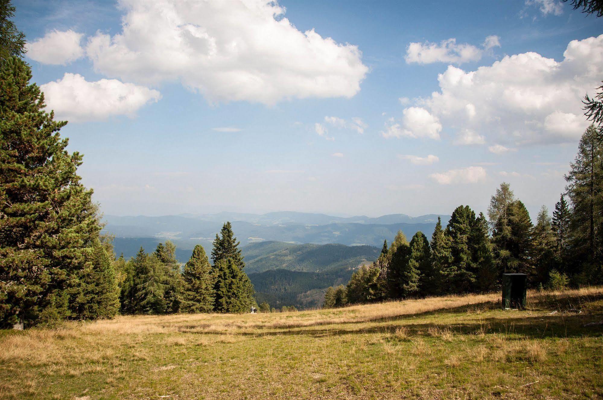 Jufa Hotel Hochrindl Bagian luar foto